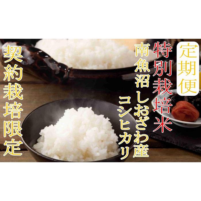 【令和7年産】※定期便：6Kg×12ヶ月※特別栽培 生産者限定  南魚沼しおざわ産コシヒカリ【2025年10月上旬より順次発送予定】