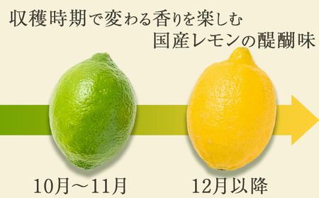 《12月発送》【皮まで食べられる】海と太陽のレモン【訳あり品-優品-】５kg（約40個）　[0011-0058]