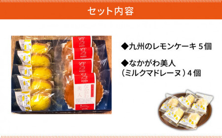 【洋菓子店VISAVIS（ヴィザヴィ）でしか味わえない特選スイーツ】VISAVIS洋菓子 2種セット 計9点 ＜株式会社シークス＞那珂川市 定期便 バターケーキ お菓子 スイーツ 8000 8000円