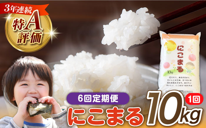 
                  米【 6回定期便 】 長崎県産 精米 にこまる 10kg 総計 60kg / 白米 米 お米 こめ コメ ライス ご飯 ごはん 国産 お取り寄せ 仕送り 人気 おすすめ 贈り物 産地直送 精米 おこめ kome 送料無料/ 南島原市 / 大松屋商店 [SDR007]
                