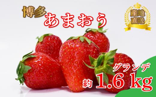 あまおう グランデ等級　約270ｇ×6パック（2月～4月に順次発送予定） 冷蔵 小分け いちご 福岡県産 苺 あまおうイチゴ フルーツ あまおう 果物 スイーツ くだもの 冬 春 旬 福岡 九州 福岡県 川崎町 数量限定 期間限定