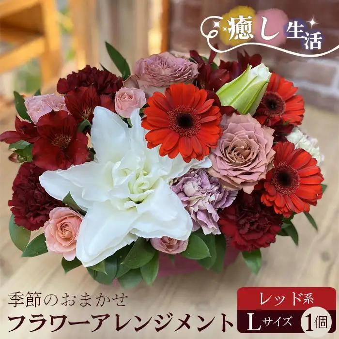 （レッド系）Lサイズ 癒し生活！季節のおまかせフラワーアレンジメント No.491