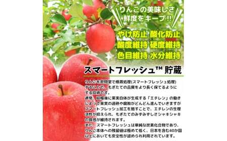 家庭用 りんご ふじ (有袋) スマートフレッシュ™ 5kg (14玉から20玉入り 5kg 1箱) 見た目にわけあり 味はそのまま｜青森 つがる 訳あり 訳アリ リンゴ 青森りんご フルーツ 果物 