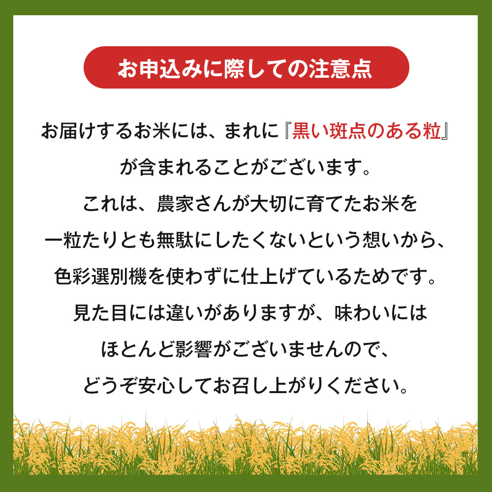 令和７年度 淡路島産キヌヒカリ 5kg （白米）