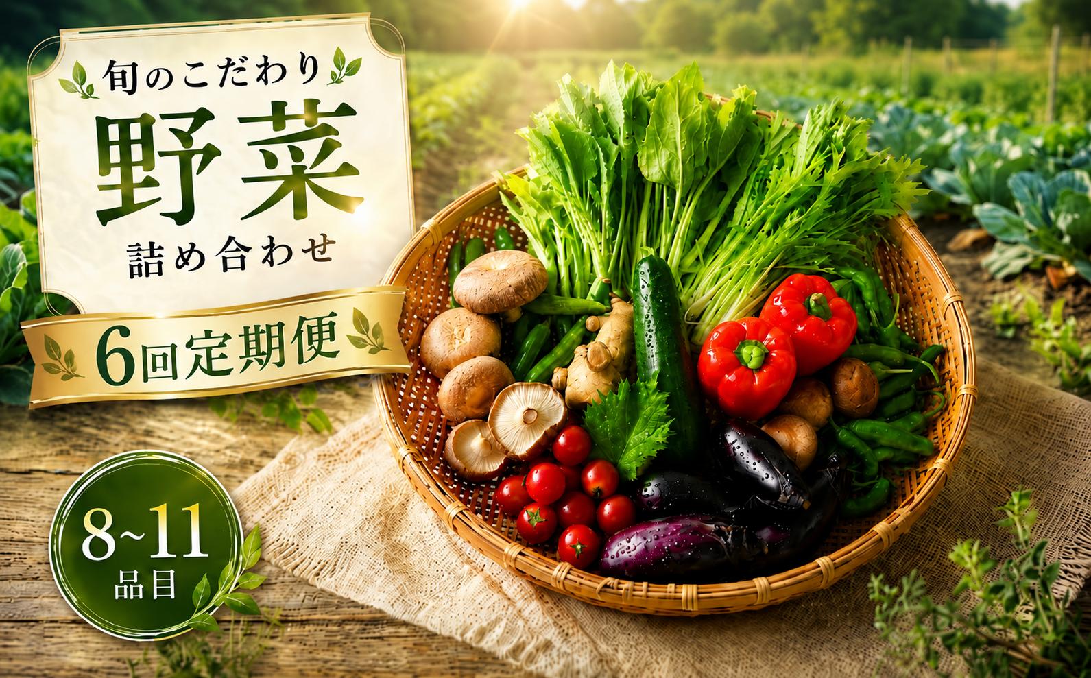 
                  【6回定期便】 こだわりの新鮮野菜セット 8~11品目 | 野菜セット 新鮮 野菜 季節の野菜 おすすめ 高知県 南国市
                