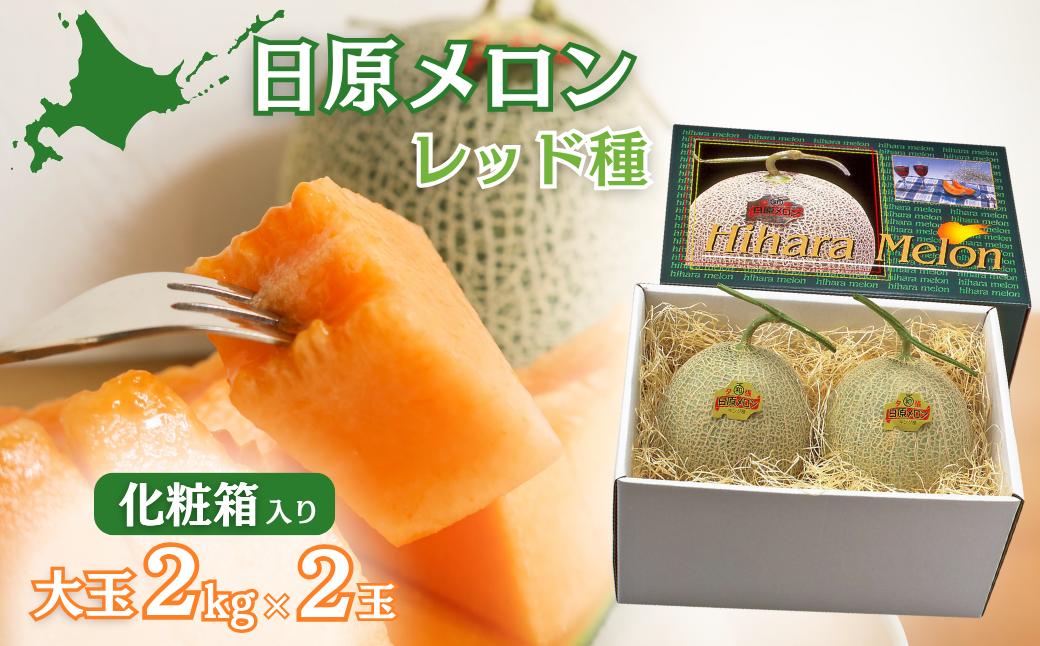 
            【先行予約】大玉「日原メロン（レッド種）」（2.0kg相当×2玉）カラー化粧箱入り　YF010
          