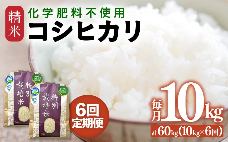 
                  【先行予約】【令和8年産】【定期便6回】≪6ヶ月連続お届け≫ 化学肥料不使用 特別栽培米 コシヒカリ 精米 10kg × 6回（合計60kg）※2026年10月上旬より順次発送予定 [aw010-k010]
                