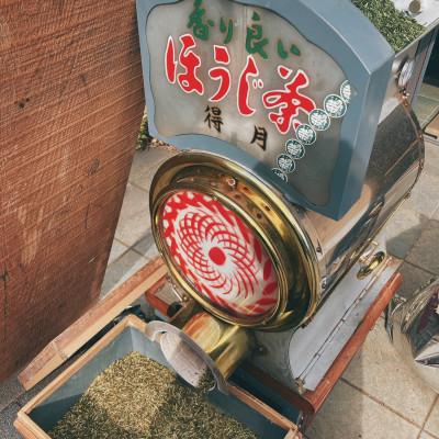 ふるさと納税 半田市 ほうじ茶200g3本 |  | 02