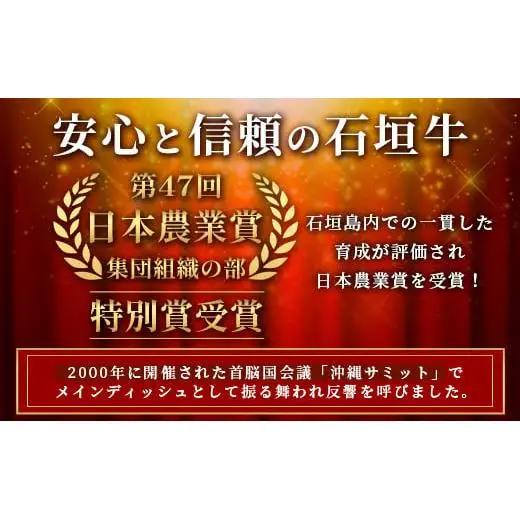 石垣牛100％ ハンバーグ　(100ｇ×15個)　  ID-2
