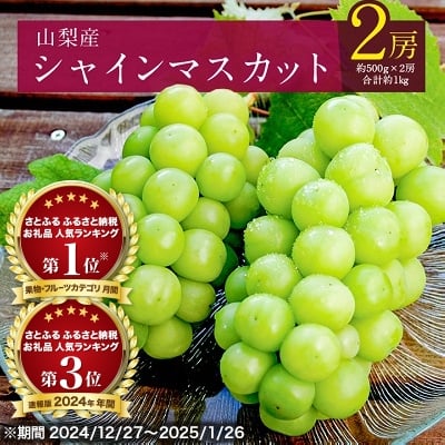 山梨産シャインマスカット2房(約1kg) ふるさと納税