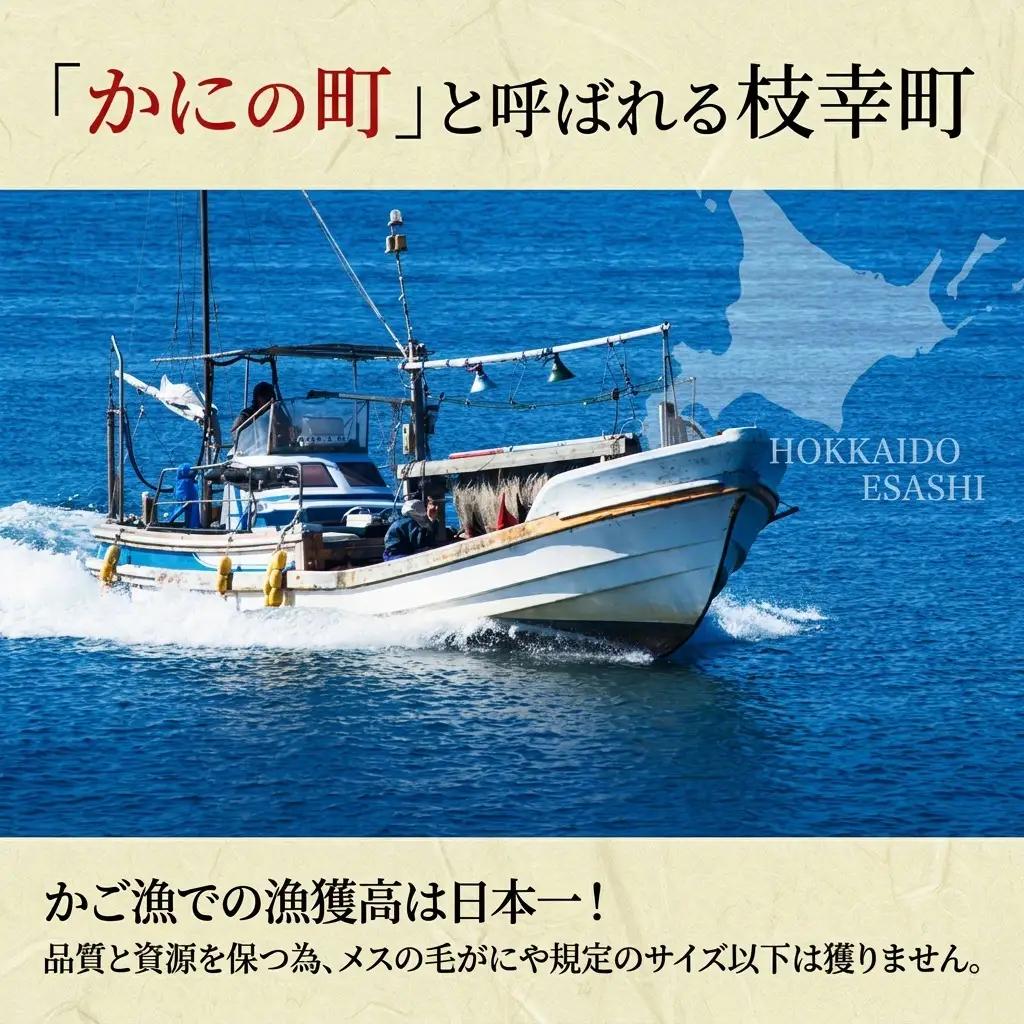 毛ガニ 冷凍ボイル 無地のし オホーツク枝幸 毛ガニ【660g前後×1尾】