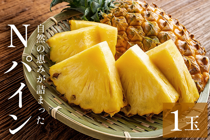 Nパイン1玉　自然の恵み詰まったパイナップル
