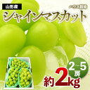 【ふるさと納税】[ハウス栽培]山形のシャインマスカット 秀品 約2kg(2～5房) 【令和6年産先行予約】FS23-749