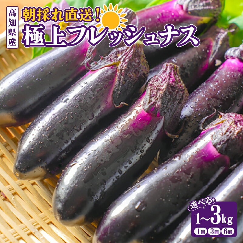 【ふるさと納税】 なす 選べる 1kg 2kg 3kg 3回定期便 6回定期便 約10本 ～ 30本 2025年10月中旬より発送予定 採れたて 産地直送 農家直送 選べる 回数 定期便 新鮮 旬 野菜 やさい 茄子 ナス なすび 先行予約 期間限定 季節 料理 ご飯 ごはん 高知県安芸市