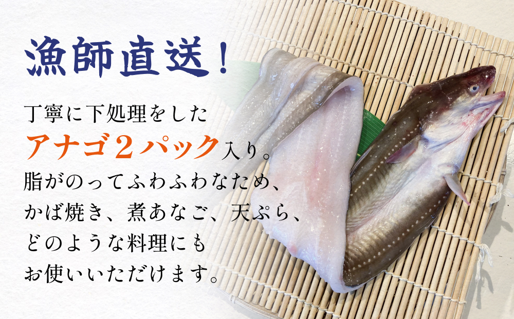 アナゴ 2パック 穴子 あなご 魚介 魚介類 海鮮 下処理済 直送 新鮮 冷凍 焼き物 煮付け フライ