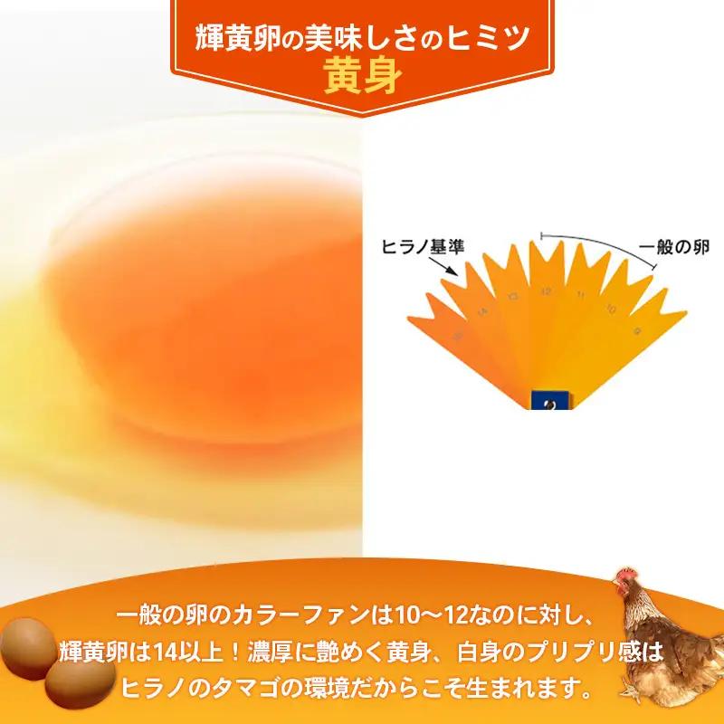ヒラノのたまご 輝黄卵(きおうらん) 赤Mサイズ 180個 【 割れ保証込み 卵 たまご タマゴ 国産 新鮮 直送 輝黄卵 朝ごはん 卵かけごはん 福岡県 筑前町 AJ001】