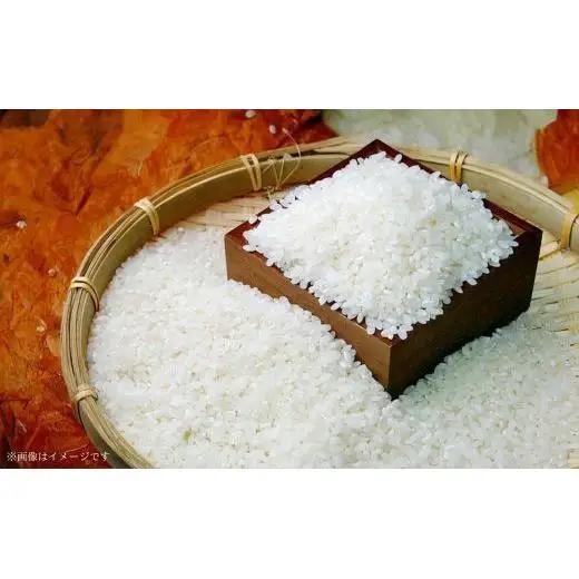 《 令和7年産 》米 もちもちで上品な食感「一番星」精米10kg ／ 米 こめ コメ お米 おこめ 一番星 白米 ごはん 令和7年産 10kg 茨城県 利根町 送料無料