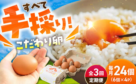【3回定期便】あっぱれ卵 24個 /いとう養鶏場 [UAQ009] 卵 たまご 鶏卵