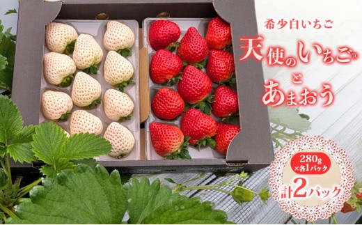 いちご 『先行予約』【2027年1月中旬以降お届け】 天使のいちご 大粒白いちご 280g×1p 厳選あまおうDX 280g×1p 計2パック 560g フルーツ いちご 果物 デザート ※配送不可：沖縄、離島