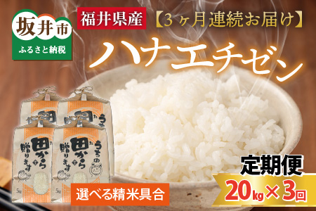 【先行予約】【令和6年産・新米】定期便 ≪3ヶ月連続お届け≫ 【選べる精米具合】 ハナエチゼン20kg×3回 計60kg ～本原農園からまごころコメて～（玄米）【2024年9月上旬以降発送予定】 [G