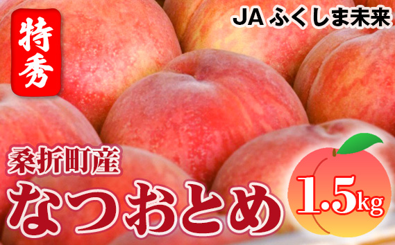 もも【なつおとめ・2026年産先行受付】特秀1.5kg　桑折町産　JAふくしま未来　桃 No.167