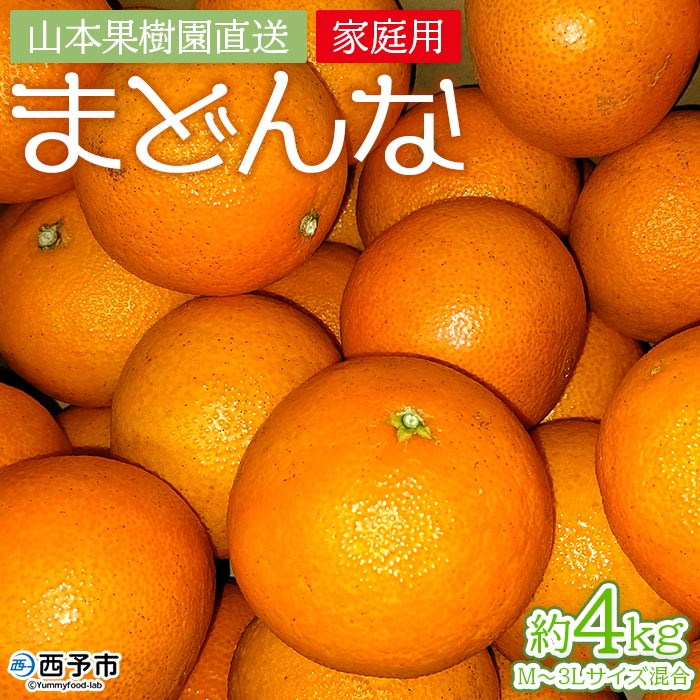 紅まどんなと同品種！＜まどんな 約4kg（家庭用・M〜3Lサイズ混合）＞果物 オレンジ フルーツ 柑橘 みかん 愛果28号 マドンナ 自宅用 食べて応援 特産品 産地直送 山本果樹園 西宇和 三瓶産 愛媛県 西予市【常温】『2025年12月上旬〜2026年1月下旬迄に順次出荷予定』