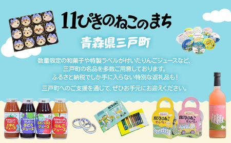 11ぴきのねこ オリジナル おくすり手帳 ５冊セット お薬手帳