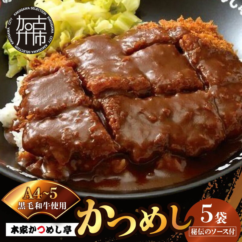 【ふるさと納税】【レビューキャンペーン】本家かつめし亭のかつめし(5食入り)