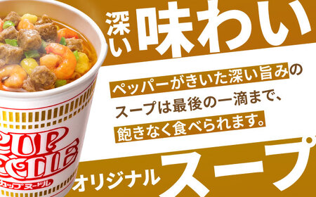 【全6回定期便】日清カップヌードル 20食 BIBI008 カップヌードル