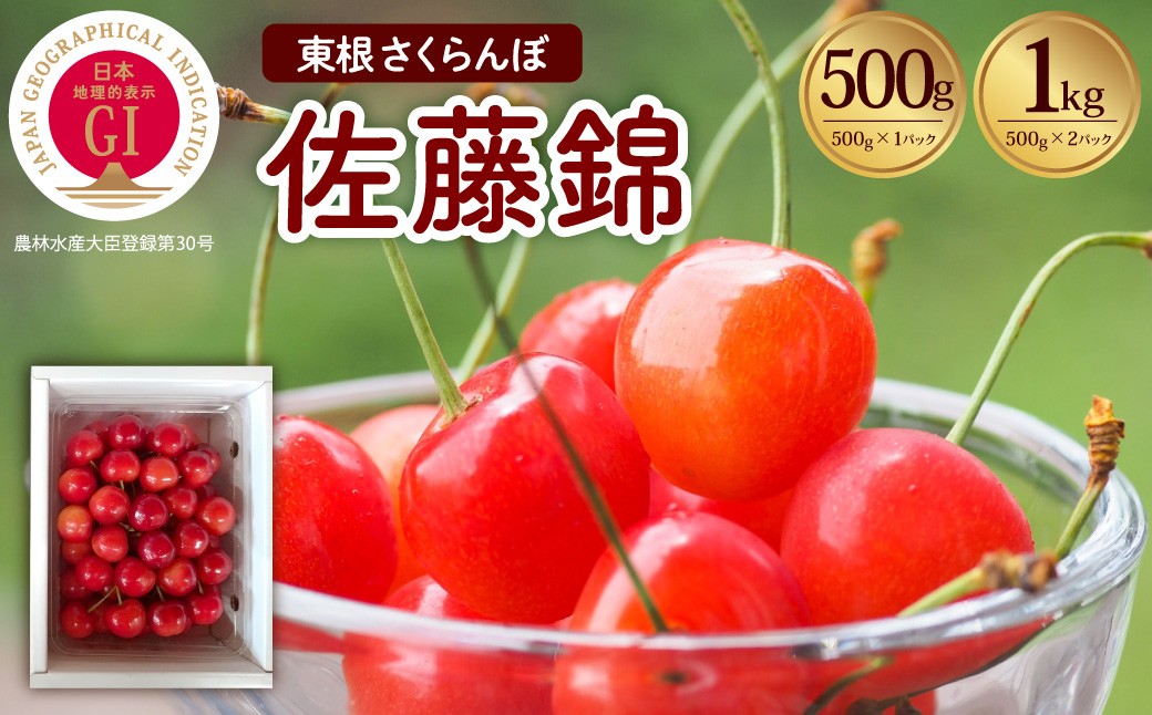 
                  【2027年産 先行受付】 ≪選べる内容量≫ GI 東根さくらんぼ 佐藤錦 【500g(500g×1P) / 1kg(500g×2P)】 山形県 東根市 滝口観光果樹園提供 hi030-051-r9-o 果物 くだもの フルーツ さくらんぼ サクランボ チェリー 先行受付 期間限定 冷蔵配送 取り寄せ グルメ ご当地 特産直送
                