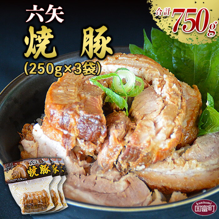 【ふるさと納税】＜六矢の焼豚 合計750g（250g×3袋）＞※入金確認後、翌月末迄に順次出荷します 豚肉 煮豚 チャーシュー 秘伝のタレ 真空パック 自家生産飼育 宮崎県 国富町 0431_mt【冷凍】