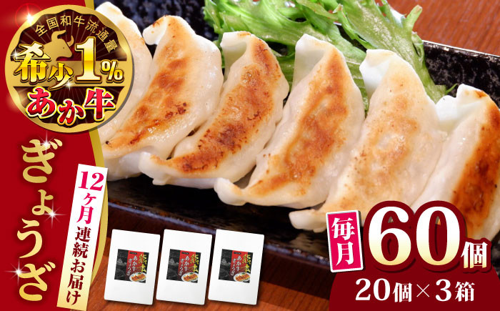 
            【全12回定期便】熊本県産 あか牛 ぎょうざ 計60個 ( 20個 × 3箱 ) 熊本和牛【有限会社 三協畜産】[YCG094] 
          