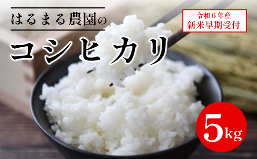 【令和6年産新米】京都丹波福知山産 はるまる農園のコシヒカリ 5kg ／ ふるさと納税 精米 米 こめ ご飯 ごはん 白米 コシヒカリ こしひかり 特別栽培米 FCCN009