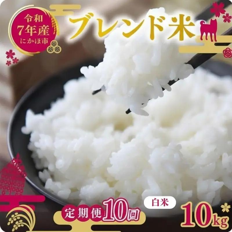 【定期便10か月】白米 ブレンド米 10kg  令和7年度産 白米