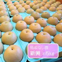 【ふるさと納税】新興 約5kg /稲坂なし園 / 梨 なし 果物