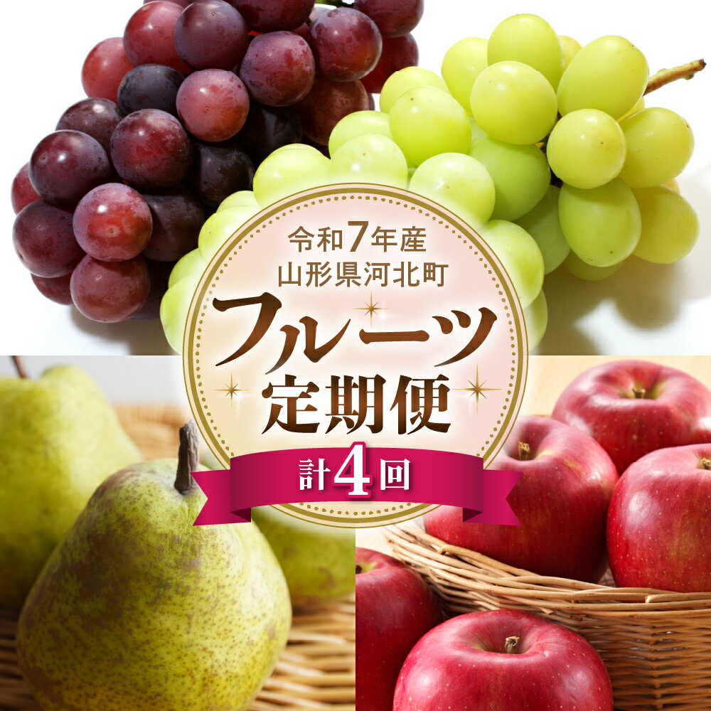 【ふるさと納税】《令和7年産》 フルーツ 定期便 全4回 | 山形県 シャインマスカット ピオーネ こうとく ラフランス ふじ サンふじ りんご 大粒 ぶどう 洋梨 贈答 ギフト 贈り物 プレゼント 果物 旬 秋 果実 セット 詰め合わせ 食べ比べ 河北町産 米COMEかほく協同組合