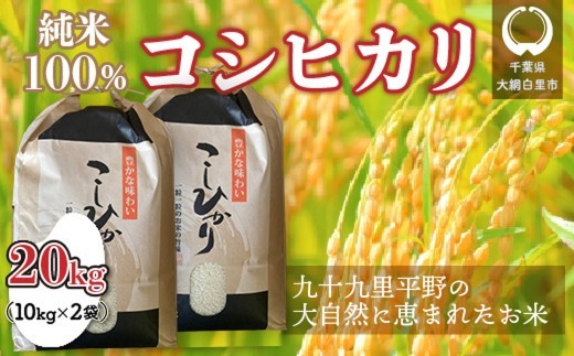 
                  【令和8年産】千葉県 大網白里市産 コシヒカリ 20kg（10kg×2袋） お米 20kg 千葉県産 大網白里市 コシヒカリ 米 精米 こめ 送料無料 J003
                
