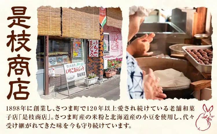 いちごまんじゅう引換券 計10個分 是枝商店《5月上旬-9月末頃出荷》鹿児島県 さつま町 和菓子 饅頭 まんじゅう いちごまんじゅう うるち米 粒あん 特産品 チケット【店舗引き取り限定】
