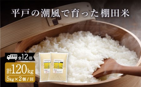 【12回定期便】平戸の潮風で育った棚田米計 10kg (5kg×2)【株式会社ひらど新鮮市場】[KAB174]/米 20㎏ 米 20㎏ 米 20㎏ 米 20㎏ 米 20㎏ 米 20㎏ 米 20㎏