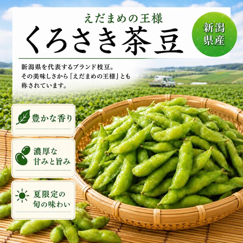 枝豆 くろさき 茶豆 1.5kg (7月中旬～8月上旬お届け) えだまめ