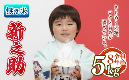 【先行予約】令和8年産 無洗米 新之助 5kg 新之助 kwsMSS