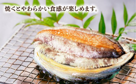 【到着日・受取時間指定必須】【配送エリア限定】【数量限定商品！】五島産養殖活きアワビ 1個あたり約100g前後 中サイズ3個 あわび 鮑 五島市/（有）都工業 [PEX001]