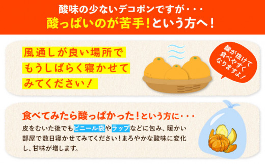 露地デコポン 約1.8kg(3-5玉前後) 《2027年2月上旬-2月末頃出荷》 柑橘 不知火 デコポン みかん フルーツ 果物 旬 ご家庭用 訳あり みかん 好き必見