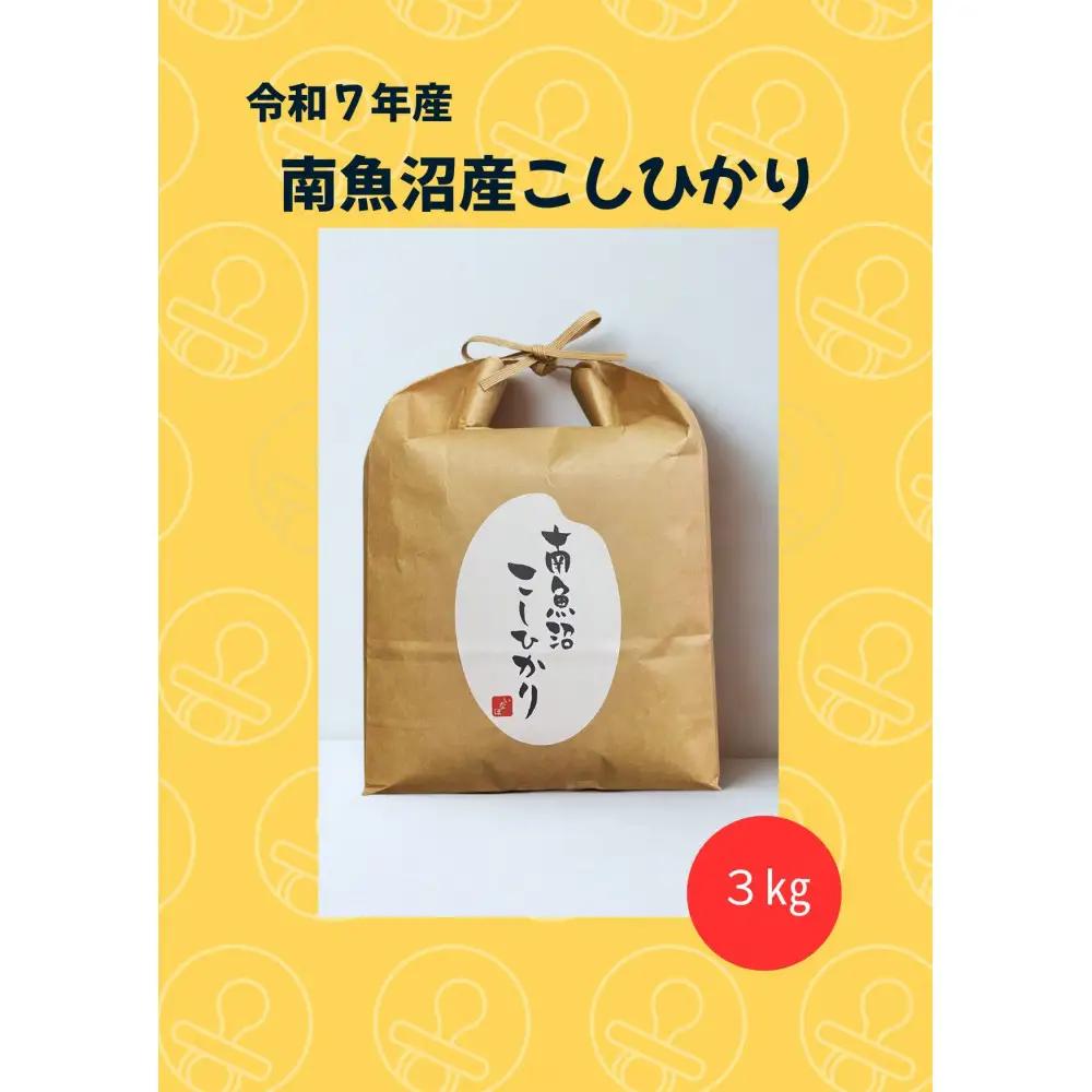 令和7年 南魚沼産こしひかり3kg【銘柄米 ブランド米 精米 こしひかり コシヒカリ 魚沼産 新潟米 産地直送 お米 米 こめ コメ ご飯 御飯 ごはん】