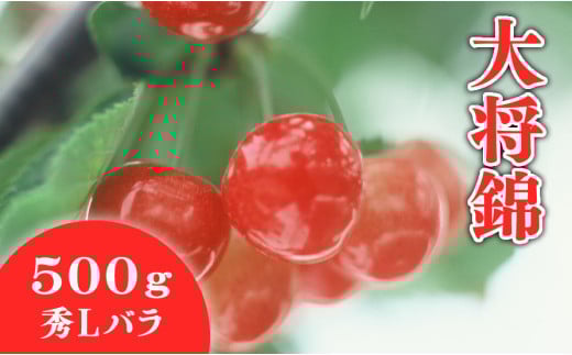 08-01-023　さくらんぼ(大将錦)500g
