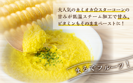 とうもろこし コーン ペースト 200g×4袋 とうもろこし