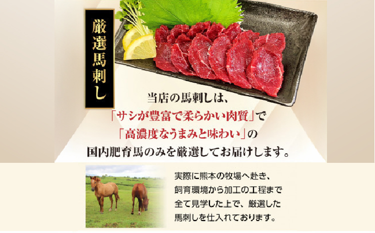 馬刺しセット4種 1ブロック45g～50g 8～10切れ 約1人前 馬刺し 熊本 馬刺 国産 ギフト 肉 馬肉 グルメ おつまみ 晩酌 内祝い お歳暮 御歳暮 熊本県 宇城市 大阪馬肉屋TMP