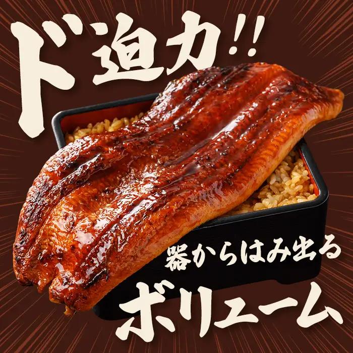 うなぎ 訳あり 1尾 計300g以上 すぐ届く【うなぎ】【ho1684】