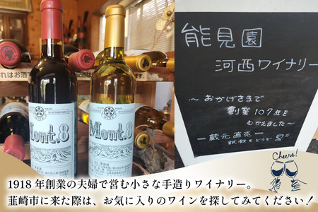 ふるなび限定 ワイン Mont.8 甲州 辛口 白ワイン 720ml 1本 Wine わいん お酒 酒 洋酒 白 辛口 能見園河西ワイナリー  [まあめいく 山梨県 韮崎市 20745222] 