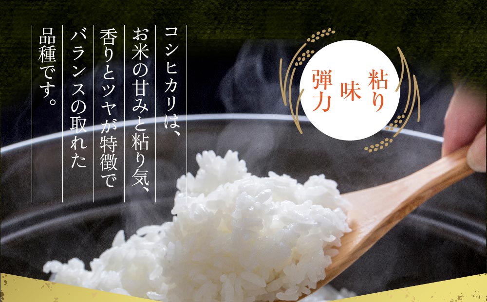 【選べる内容量】コシヒカリ 農家指定無 令和6年産 阿蘇の美味しいお米をお届け！5kg　お米 米 精米 白米 人気 美味しい 甘み 香り ツヤ おすすめ 熊本県 阿蘇市 5kg